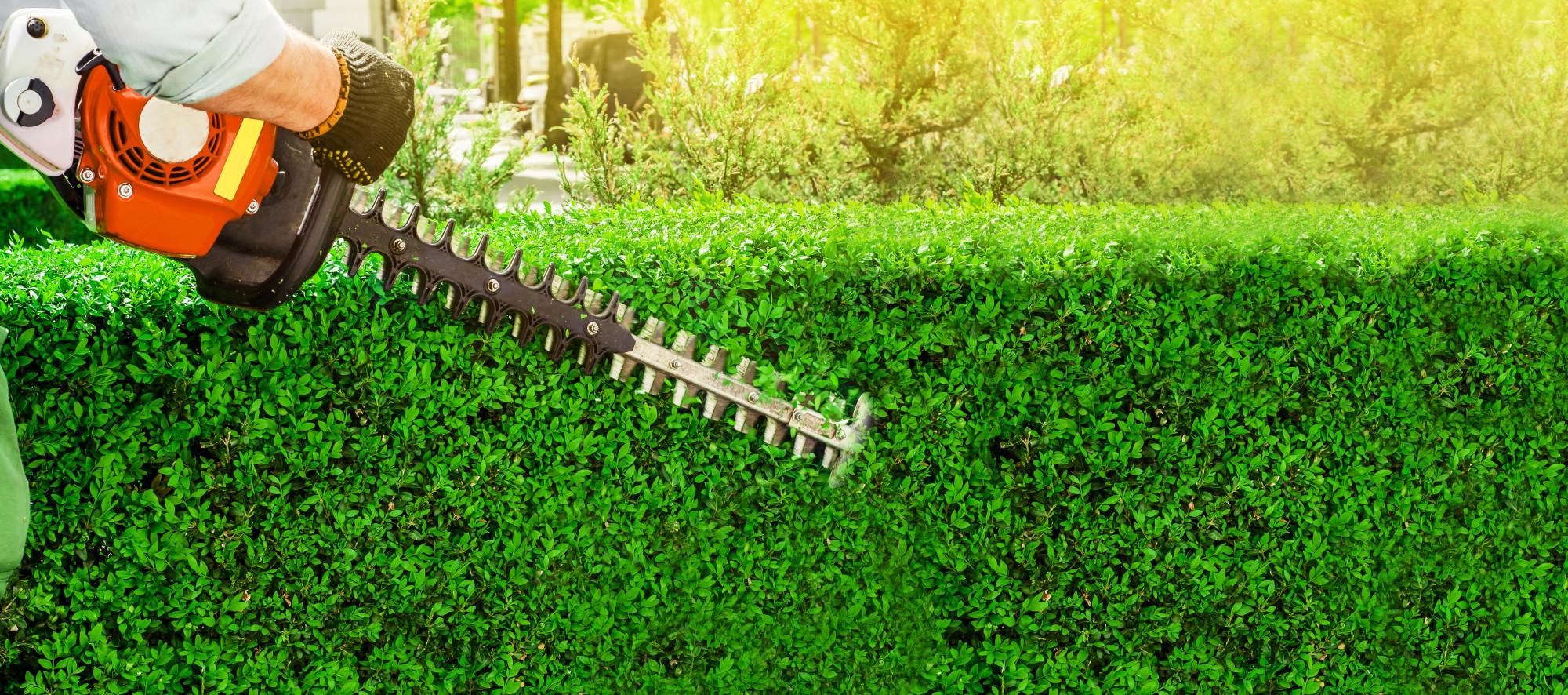 Buying New vs Used Landscaping Equipment